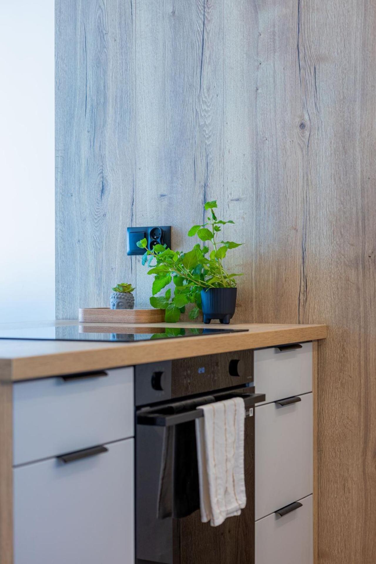 Vip Apartament Kopisto Centrum Rzeszow Bagian luar foto